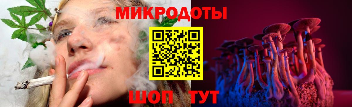 Галлюциногенные грибы Psilocybine cubensis Стрежевой