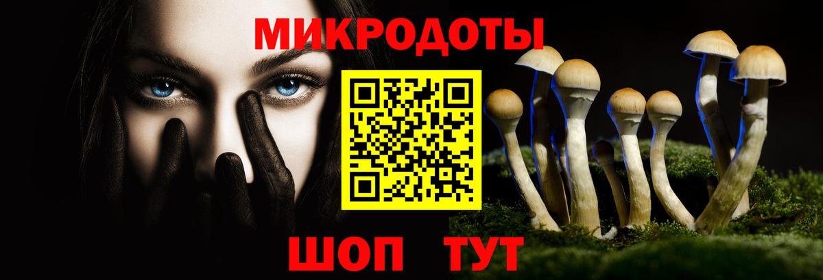 Псилоцибиновые грибы Magic Shrooms  Вход с VPN  Стрежевой  сколько стоит  Галлюциногенные грибы мухоморы 